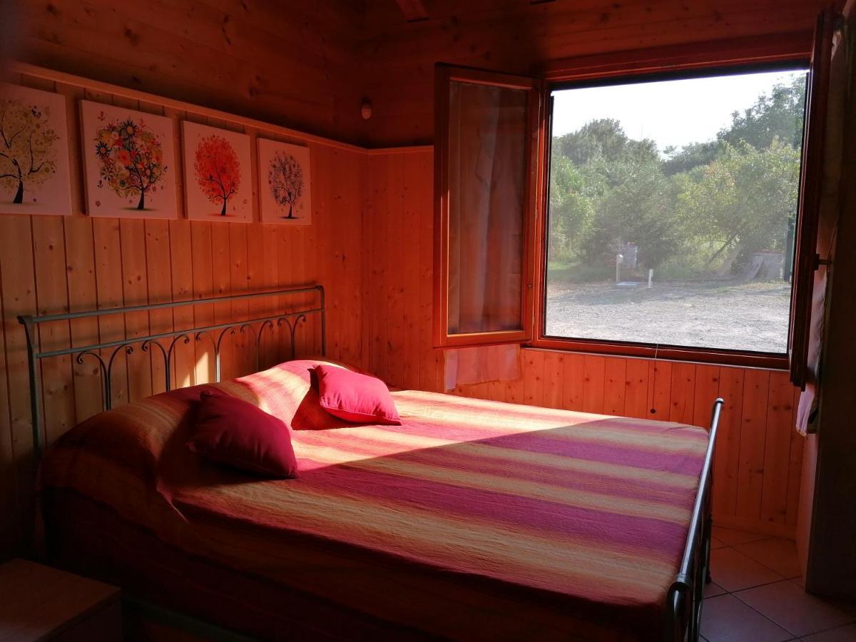 Agriturismo Bio Apipoli Lucino المظهر الخارجي الصورة